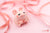 粉紅小貝波 (Bear Paw Dragon BEPO Pink Version)