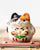 PP X MONSTER Lucky Kitten Daruma Blind Box